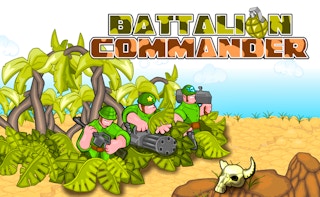 Image Battalion Commander